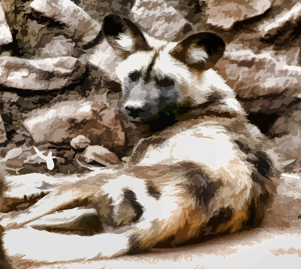 ベクトル イメージ アフリカの野生の犬の大きな耳を持つ - ベクター画像