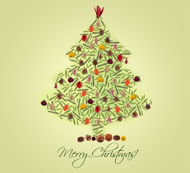 Vánoční strom z jedle větví - Fotografie, Obrázek