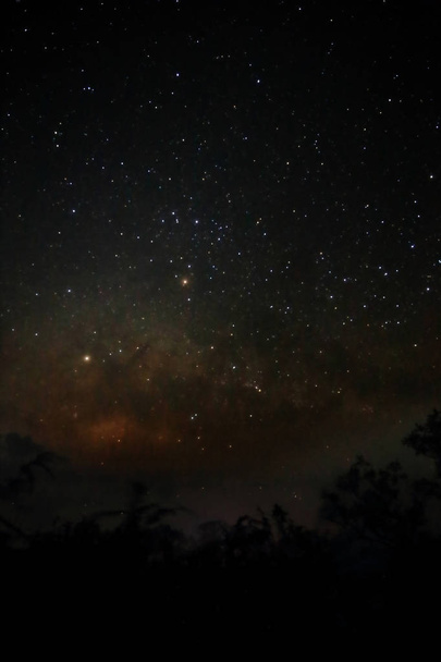 Via Láctea Galaxy com floresta silhueta. Fotografia de longa exposição com grãos
. - Foto, Imagem