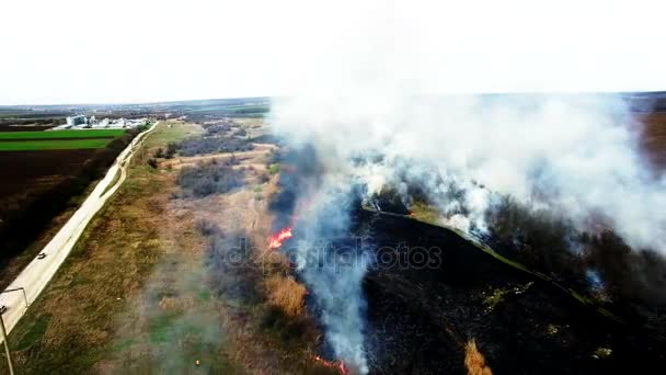 Aerial view of dry grass burning in steppe - Footage, Video
