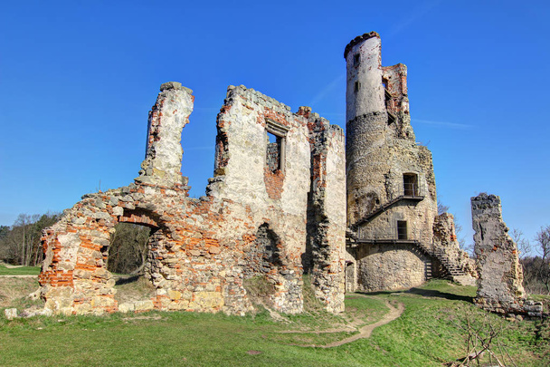 Ερείπια του Zviretice κάστρου - Φωτογραφία, εικόνα