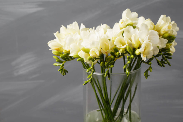 White freesia flowers in decorative vase on a background of gray wall - Photo, Image