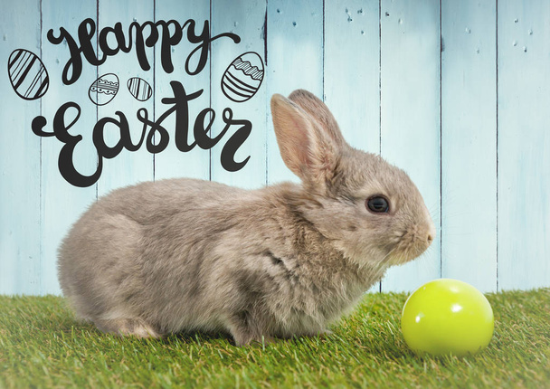 Easter graphic over rabbit on grass  - Foto, Imagen