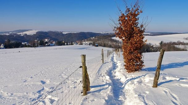 a város Hohnstein télen - Fotó, kép