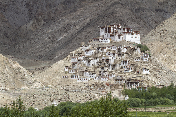 das buddhistische kloster chemre in ladakh, indien - Foto, Bild