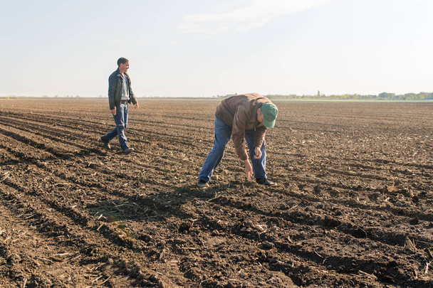 Αγρότης αναλύσει σπόρων σόγιας μετά τη σπορά καλλιέργειες σε γεωργικές πεδίων - Φωτογραφία, εικόνα