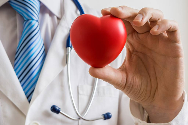 Καρδιολόγος γιατρός κατέχει κόκκινη καρδιά στο χέρι. - Φωτογραφία, εικόνα