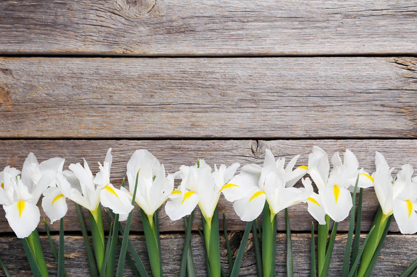 Bouquet de fleurs d'iris blanc
 - Photo, image