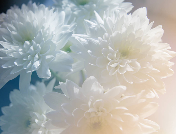  Blumenstrauß aus Chrysanthemen - Foto, Bild