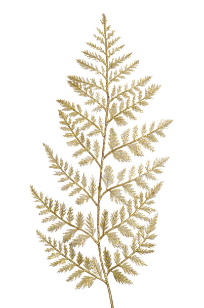 Christmas decorative Brown leaf - Foto, immagini