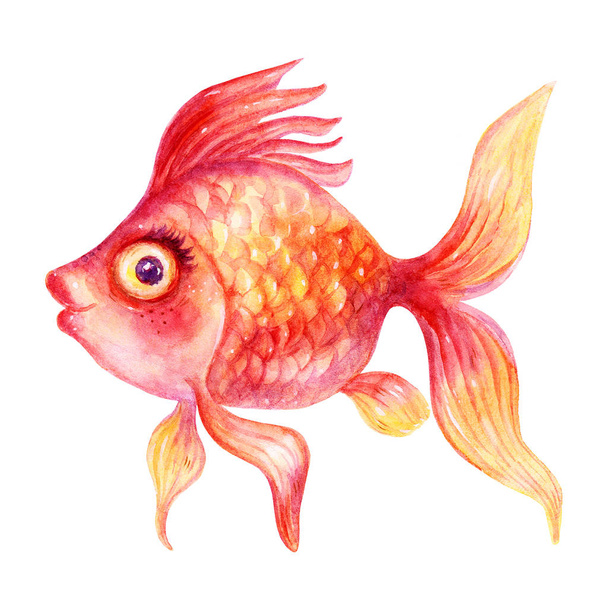 Karikatúra, akvarell színes arany halak illusztrációk elszigetelt fehér background. Színes kézzel rajzolt vintage illusztráció. Tökéletes gyerek rajzfilm magazin. Talizmánok-Feng Shui: aranyhal. - Fotó, kép