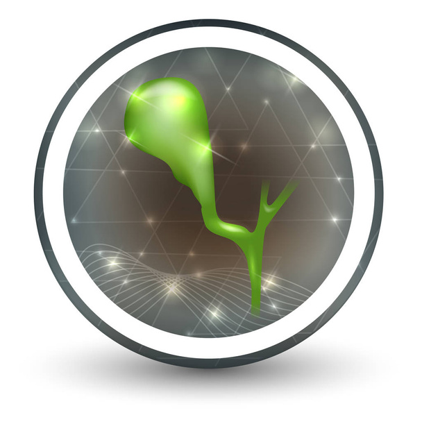 Gallbladder icon abstract design - Vector, Image