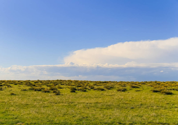 Hierba verde y cielo azul - Foto, imagen