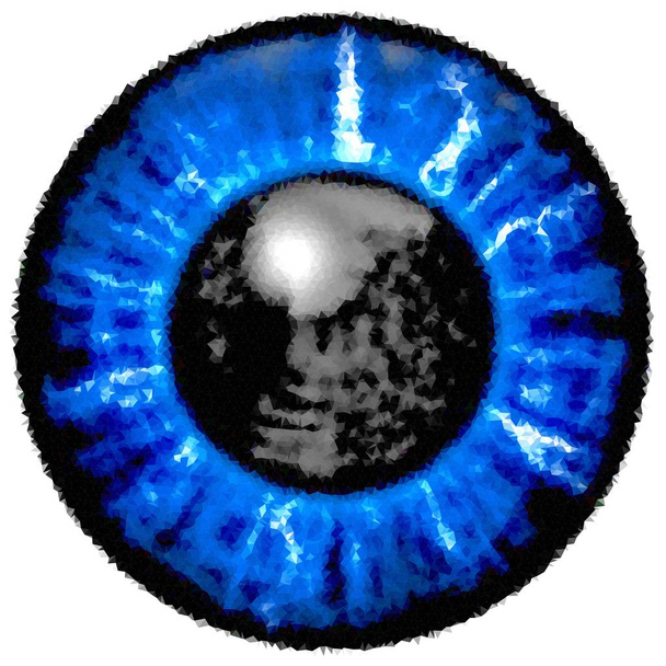 Low poly. Illustration of blue eye iris, light reflection. - Photo, Image