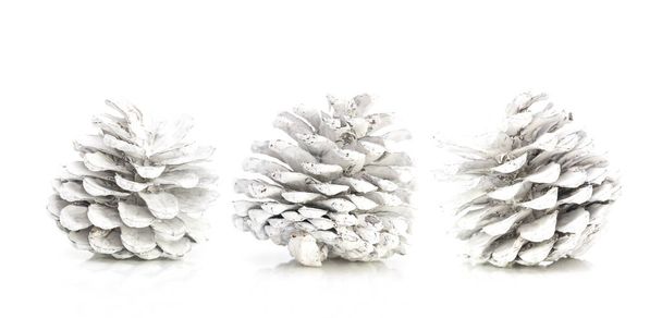 Three Hand Painted White Pine Cones - Fotografie, Obrázek
