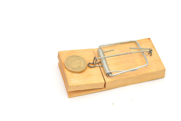 Mousetrap with pound coin - Photo, Image