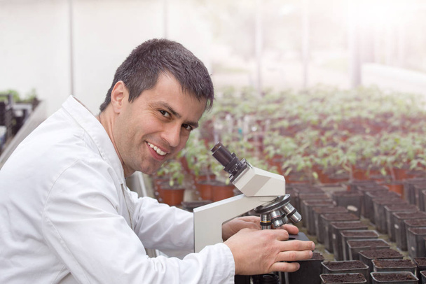 Scientist with microscope in green house - Photo, Image