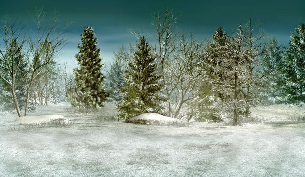 Χειμερινό δάσος - Φωτογραφία, εικόνα