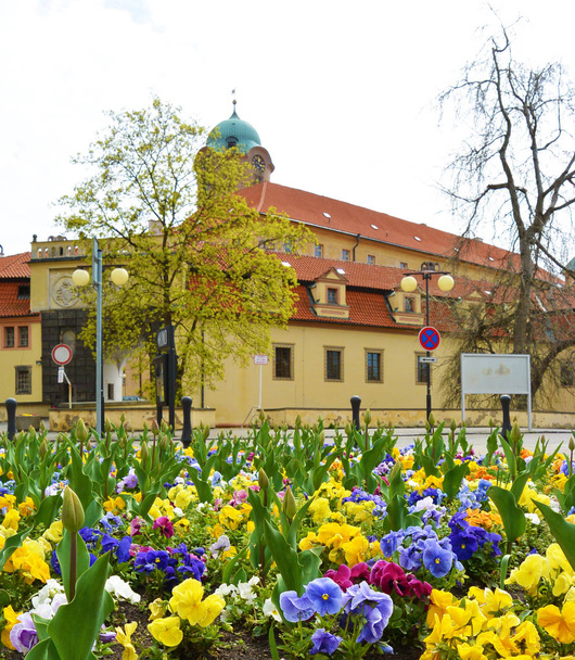 Blick auf das Blumenbeet auf dem Platz. tschechische Stadt Podebrady - Foto, Bild