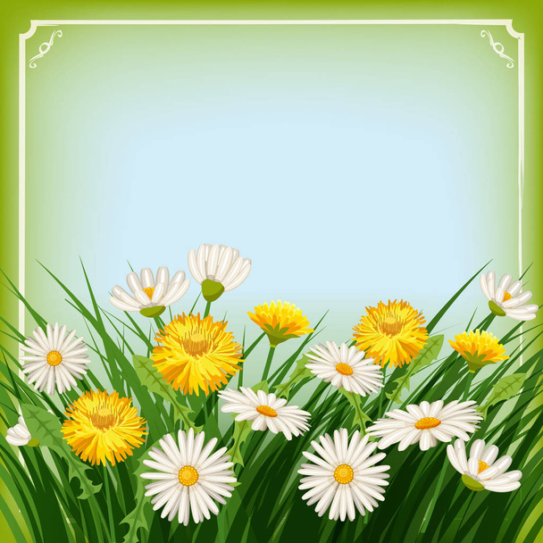 Fresh spring background with grass, dandelions and daisies - Vettoriali, immagini