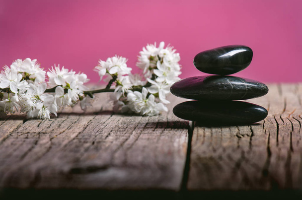 Black stone treatment. Spa and wellness concept. One pink flower on a wooden table and pink background. Lovely flowers. Festive greeting card. Pastel color.. Spring. - Fotografie, Obrázek
