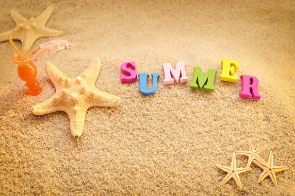 Mořské mušle na písku, horní pohled, letní koncepce - Fotografie, Obrázek