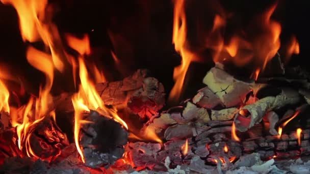 Verbranden in eigen huis - Video