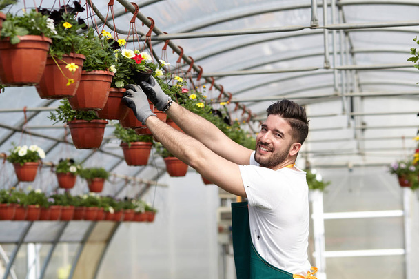 happy male nursery worker trimming plants in greenhouse - Foto, imagen