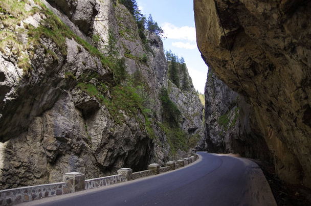 Paesaggio estivo delle famose Gole di Bicaz (Canyon) nella contea di Neamt, Romania
. - Foto, immagini