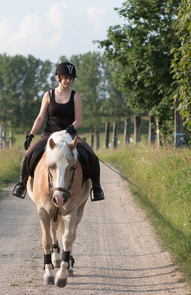 Una giovane donna a cavallo Haflinger
 - Foto, immagini