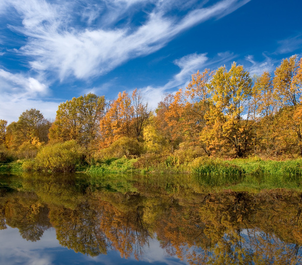 Forêt jaune d'automne au bord de la rivière
 - Photo, image