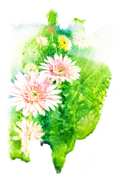 ακουαρέλα εικονογράφηση λουλούδι. - Φωτογραφία, εικόνα