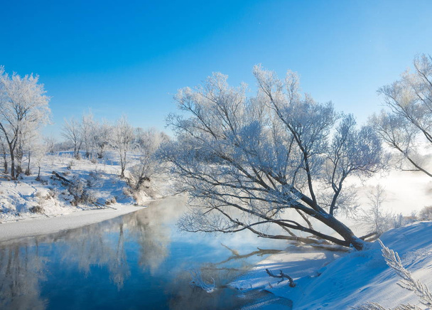Invierno, marea invernal, invierno, hibernación, la estación más fría del año
 - Foto, Imagen