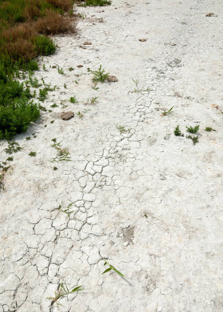 Pusztai szikes talajok. sós só só. Pusztai préri veldt veld. A sivatag, sós tavak, szikes. élettelen felperzselt föld. csupasz sztyepp Kazahsztán - Fotó, kép