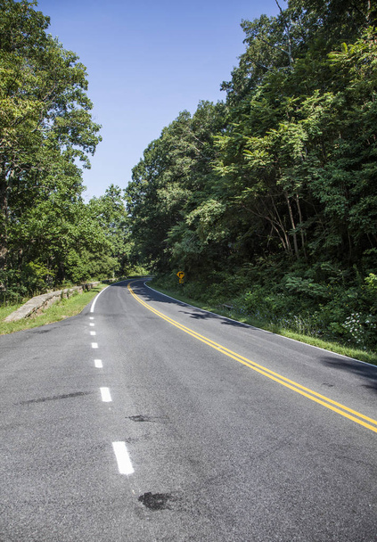 scenic country road curves through Shenandoah  National Park - Foto, Imagen