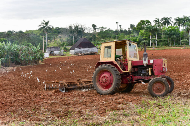 Traktor orze pole - Kuba - Zdjęcie, obraz