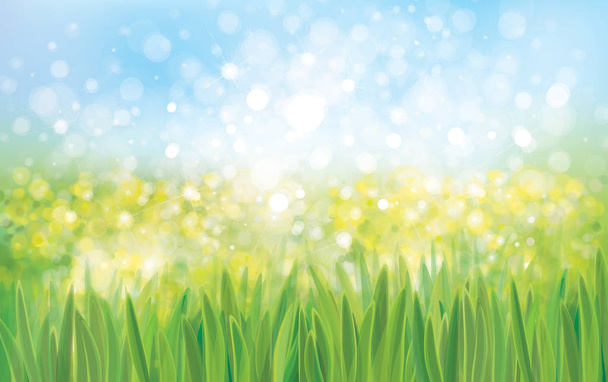Зеленая трава боке
 - Вектор,изображение