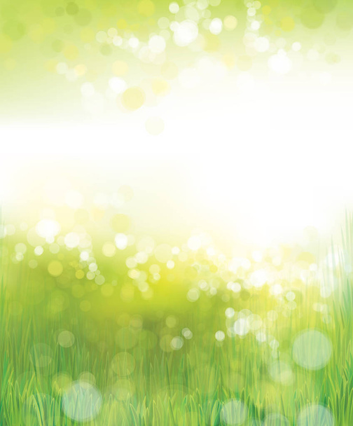 Groen gras met bokeh lichten - Vector, afbeelding