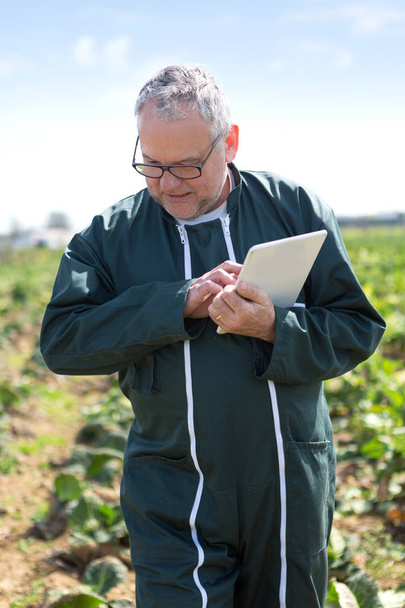 Senior attraktiver Landwirt arbeitet auf einem Feld mit Hilfe seines Tablets - Foto, Bild