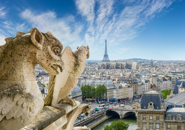 Veduta della parte occidentale di Parigi dalla Cattedrale di Notre-Dame
 - Foto, immagini