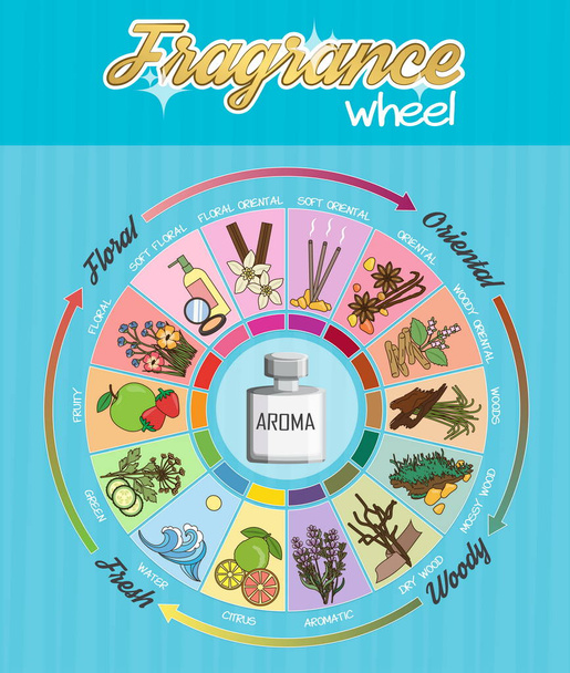 Aroma fragrance guide wheel infographic poster. - Vector, Image
