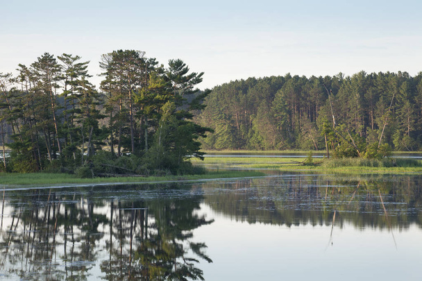 Isola con pini su un tranquillo fiume del Minnesota settentrionale
 - Foto, immagini