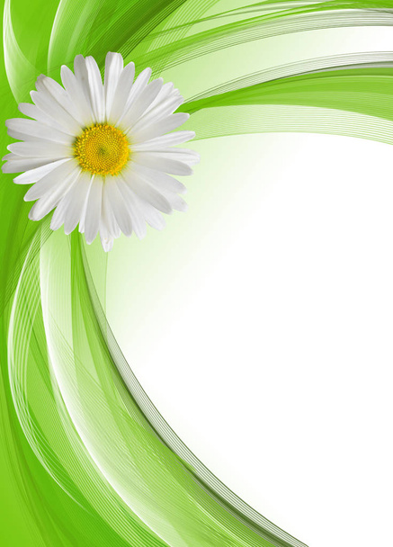 Best Romantic Flower Background - Foto, Imagem