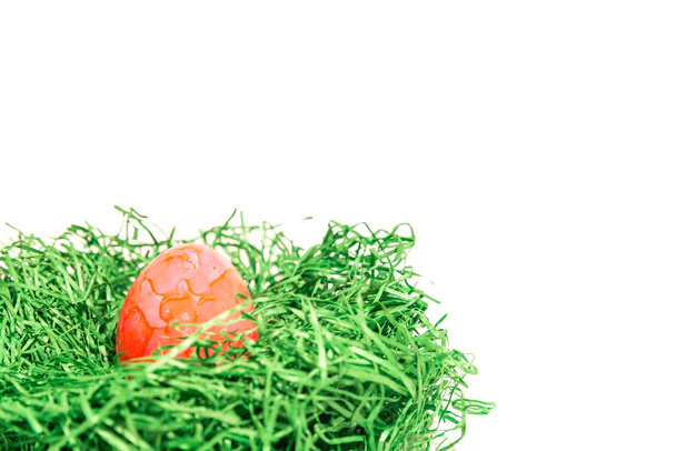 Easter egg in a easter nest made of green grass and white background - Fotografie, Obrázek
