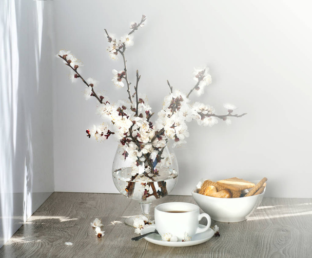 Tea and apricot flowers - 写真・画像