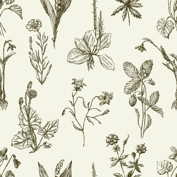 pattern of the sketches wildflowers - Vector, afbeelding