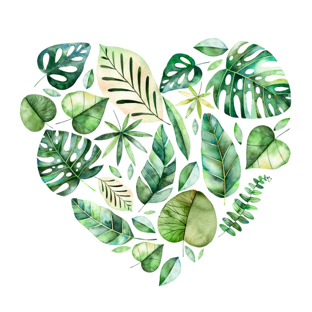 Illustration peinte à la main avec des feuilles tropicales colorées
. - Photo, image
