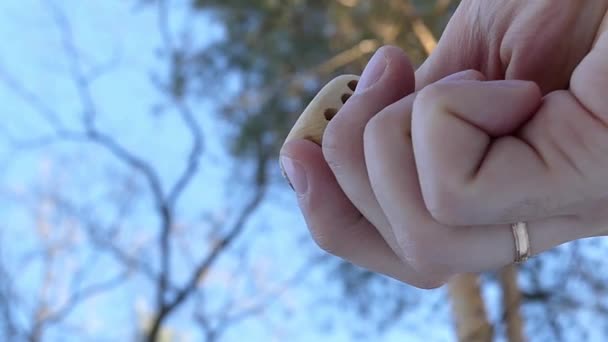 Holzwürfel mit sechs Punkten ist im Winter tagsüber in den Händen einer Frau in einem Wald - Filmmaterial, Video