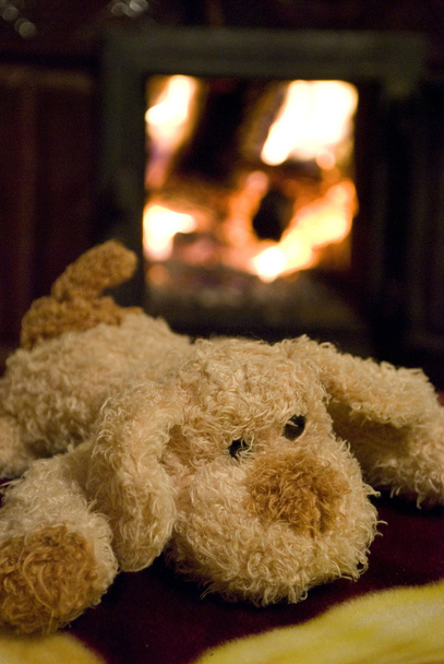 暖炉のそばのおもちゃ子犬 - 写真・画像