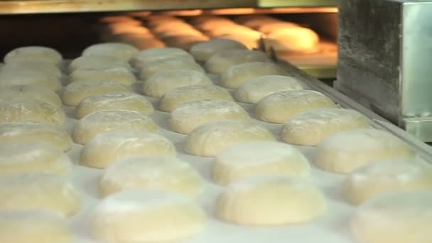 Bakery. The man inserts a plate with the formed bread into the oven. - Filmmaterial, Video